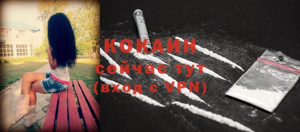 мдпв Богданович