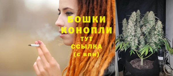 ПСИЛОЦИБИНОВЫЕ ГРИБЫ Белоозёрский