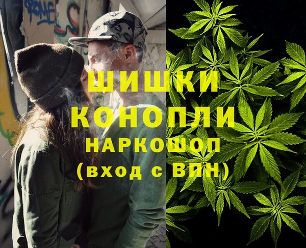 мдпв Богородск